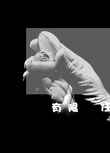 有限責任公司是什么含義
