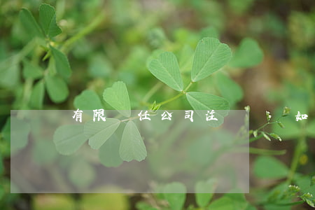 有限責任公司注銷時應如何清算