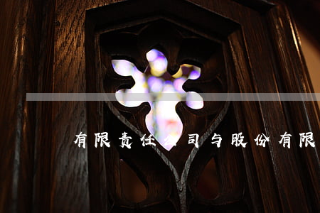 有限责任公司与股份有限公司区别