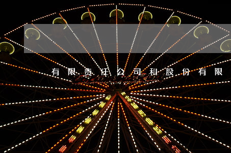 有限责任公司和股份有限公司