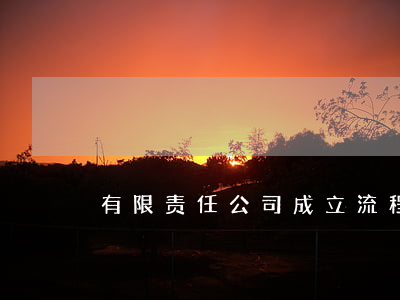 有限责任公司成立流程(项目公司成立流程)