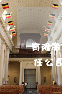 有限责任公司无力偿还债务怎么办理（有限责任公司无力偿还债务怎么办）