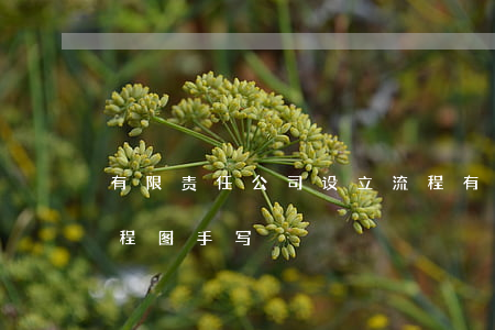 有限责任公司设立流程(有限责任公司设立流程图手写)