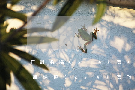 有離婚協(xié)議可以更改小孩戶口嗎(離婚協(xié)議孩子歸屬可以變更嗎)