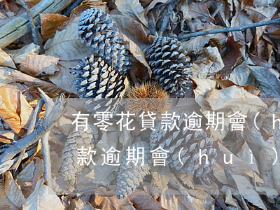 有零花貸款逾期會(huì)怎樣(有零花貸款逾期會(huì)怎樣)