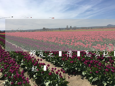 朋友之間借錢怎么起訴-朋友之間借錢怎么起訴