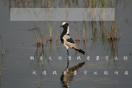 朋友之间借钱老婆可以起诉追回吗-朋友之间借钱老婆可以起诉追回吗知乎