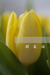 朋友信用卡借去不還起訴他有用嗎