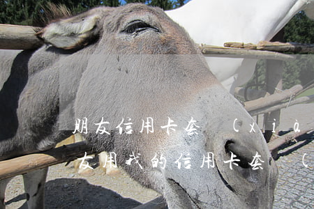 朋友信用卡套現(xiàn)不還怎么辦(朋友用我的信用卡套現(xiàn),現(xiàn)在不還了怎么辦)