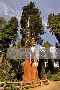 朋友信用卡逾期不知道密碼怎么還-朋友信用卡逾期不知道密碼怎么還款