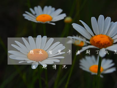 朋友信用卡逾期了我怎么查他 如何查信用卡逾期情况