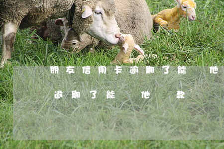 朋友信用卡逾期了能幫他還款嗎（朋友信用卡逾期了能幫他還款嗎）