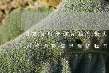 朋友信用卡逾期信息骚扰我怎么办-朋友信用卡逾期信息骚扰我怎么办呢