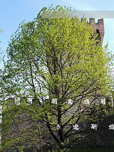 朋友信用卡逾期借錢還款能借嗎-朋友信用卡逾期借錢還款能借嗎知乎