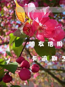 朋友信用卡逾期怎么給我打電話-朋友信用卡逾期怎么給我打電話催收