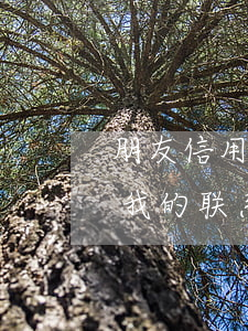朋友信用卡逾期找我(别人的信用卡逾期,写了我的联系方式)