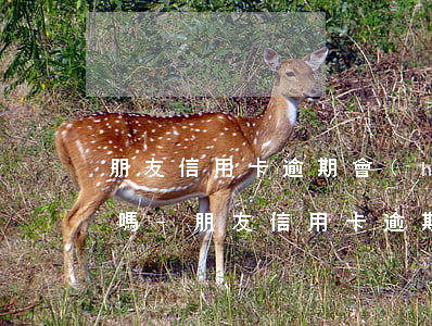 朋友信用卡逾期會(huì)影響自己征信嗎-朋友信用卡逾期會(huì)影響自己征信嗎知乎