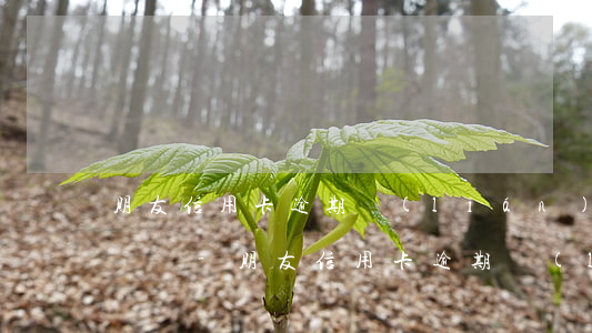 朋友信用卡逾期聯(lián)系人怎么填電話-朋友信用卡逾期聯(lián)系人怎么填電話號(hào)碼