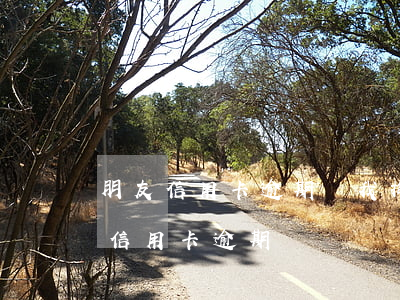 朋友信用卡逾期讓我掏錢幫她還(幫別人處理信用卡逾期)