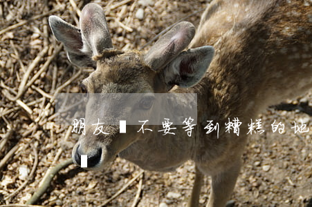 朋友們！不要等到糟糕的地步才想起找律師咨詢