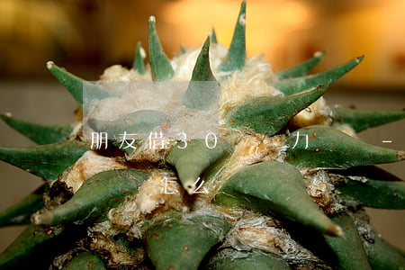 朋友借30萬無力償還-朋友借30萬無力償還怎么辦