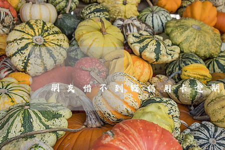 朋友借不到钱信用卡逾期