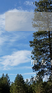 朋友借了信用卡还不起(朋友借了信用卡还不起怎么办)