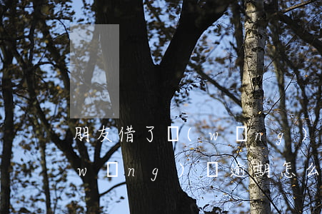 朋友借了網(wǎng)貸逾期怎么辦(網(wǎng)貸逾期怎么借錢)
