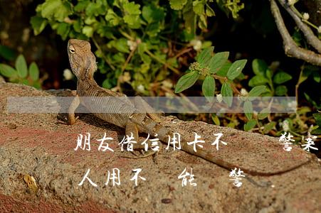 朋友借信用卡不還報警案例(把信用卡借給別人用不還能報警嗎)