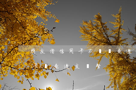 朋友借信用卡不還惡意透支(朋友拿我的信用卡惡意透支報警)