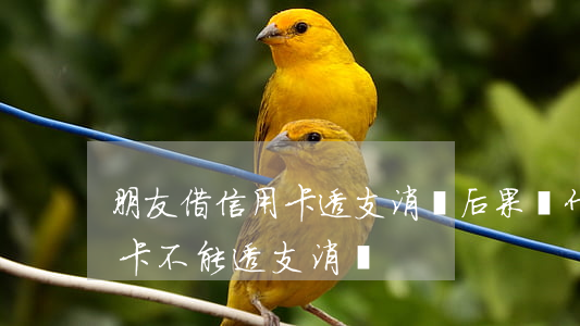 朋友借信用卡透支消費后果(為什么我的信用卡不能透支消費)