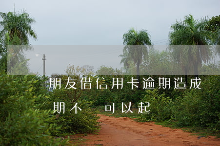 朋友借信用卡逾期造成損失(朋友借信用卡逾期不還可以起訴嗎)