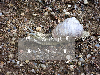 朋友借我信用卡刷卡后不還(朋友借我信用卡刷卡后不還)