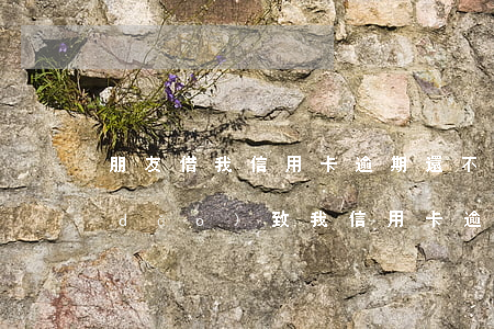 朋友借我信用卡逾期還不上了(朋友借錢導(dǎo)致我信用卡逾期)