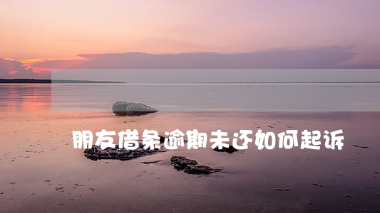 朋友借条逾期未还如何起诉