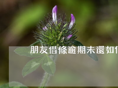 朋友借條逾期未還如何起訴