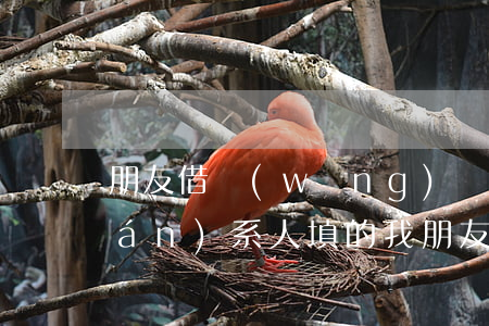 朋友借網(wǎng)貸逾期緊急聯(lián)系人填的我(朋友的網(wǎng)貸逾期了 填寫的我的電話)