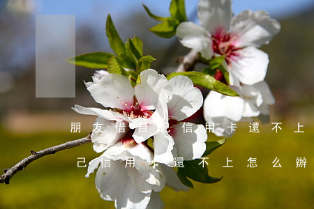 朋友借自己信用卡還不上怎么辦-朋友借自己信用卡還不上怎么辦呢
