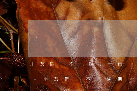 朋友借貸不還逾期一直給我發(fā)短信-朋友借貸不還逾期一直給我發(fā)短信說我是擔(dān)保人