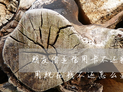 朋友借走信用卡不还款(请问朋友借我信用卡用现在钱不还怎么办)