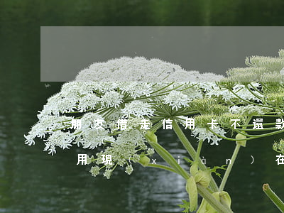 朋友借走信用卡不還款(請問朋友借我信用卡用現(xiàn)在錢不還怎么辦)