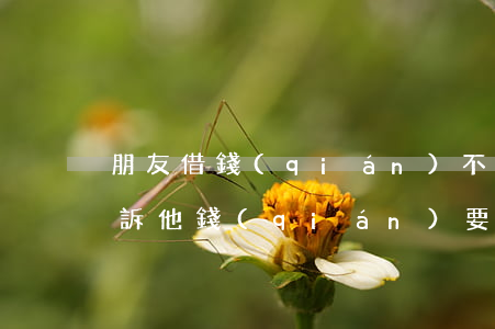 朋友借錢(qián)不起訴 朋友借不還起訴他錢(qián)要得回來(lái)嗎