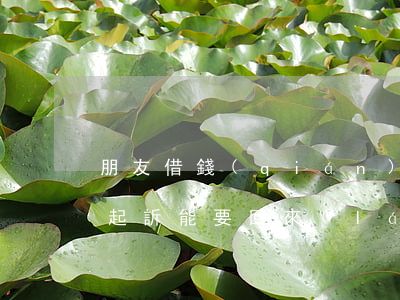 朋友借錢(qián)沒(méi)打借條起訴能要回來(lái)嗎-朋友借錢(qián)沒(méi)打借條起訴能要回來(lái)嗎怎么辦