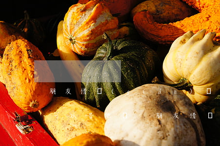 朋友借錢(qián)沒(méi)還法院可以告他嗎-朋友借錢(qián)不還法院怎么處理