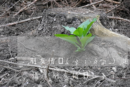 朋友借錢(qián)逾期未還再次又找我借-朋友借錢(qián)逾期未還再次又找我借了