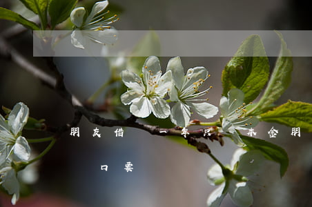 朋友借錢一年只還本金(朋友借錢一年未還該開口要嗎)