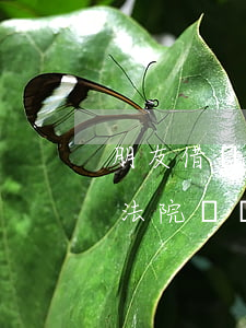 朋友借錢不還上法院視頻-朋友借錢不還上法院視頻有用嗎