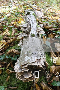 朋友借錢不還信用卡逾期(朋友借信用卡不還錢怎么報案)