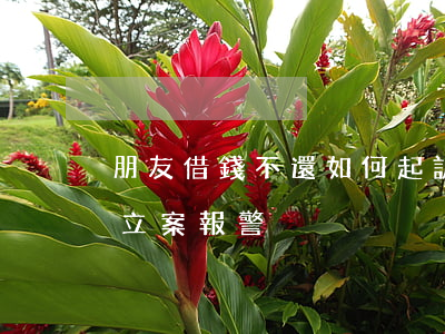 朋友借錢不還如何起訴(借錢不還多少錢可以立案報警)