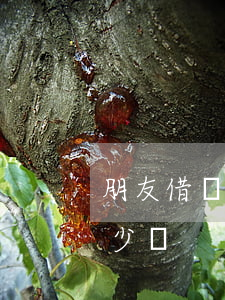 朋友借錢不還想起訴 朋友借錢不還起訴費多少錢